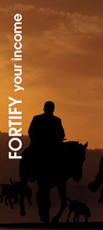 FORTIFY your income