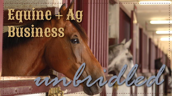 Business...unbridled